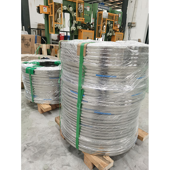 တိကျသော stainless steel strips များကိုအသုံးပြုခြင်း။