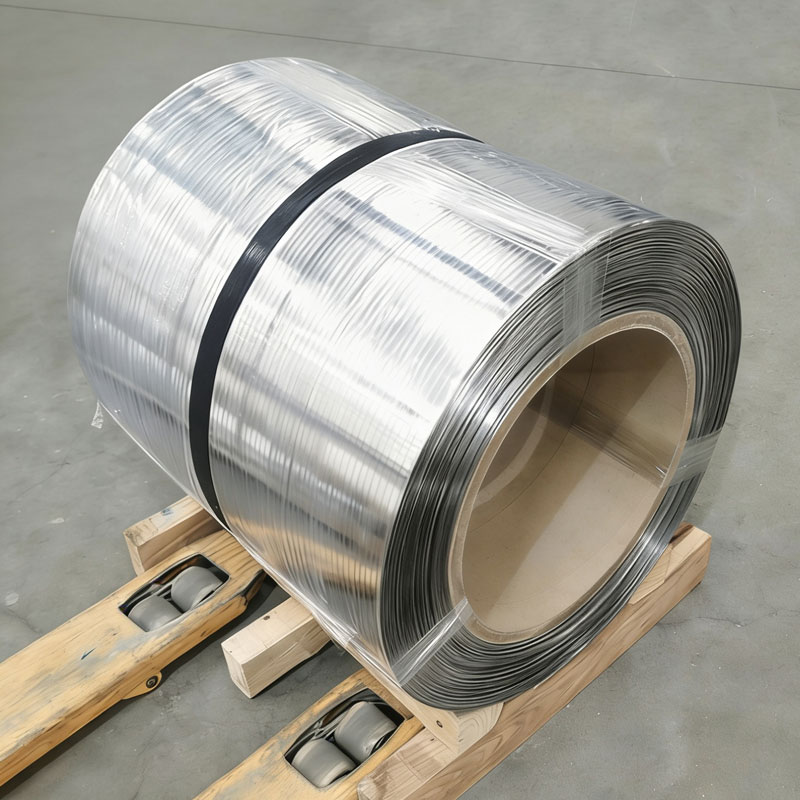 stainless steel strip လိပ်